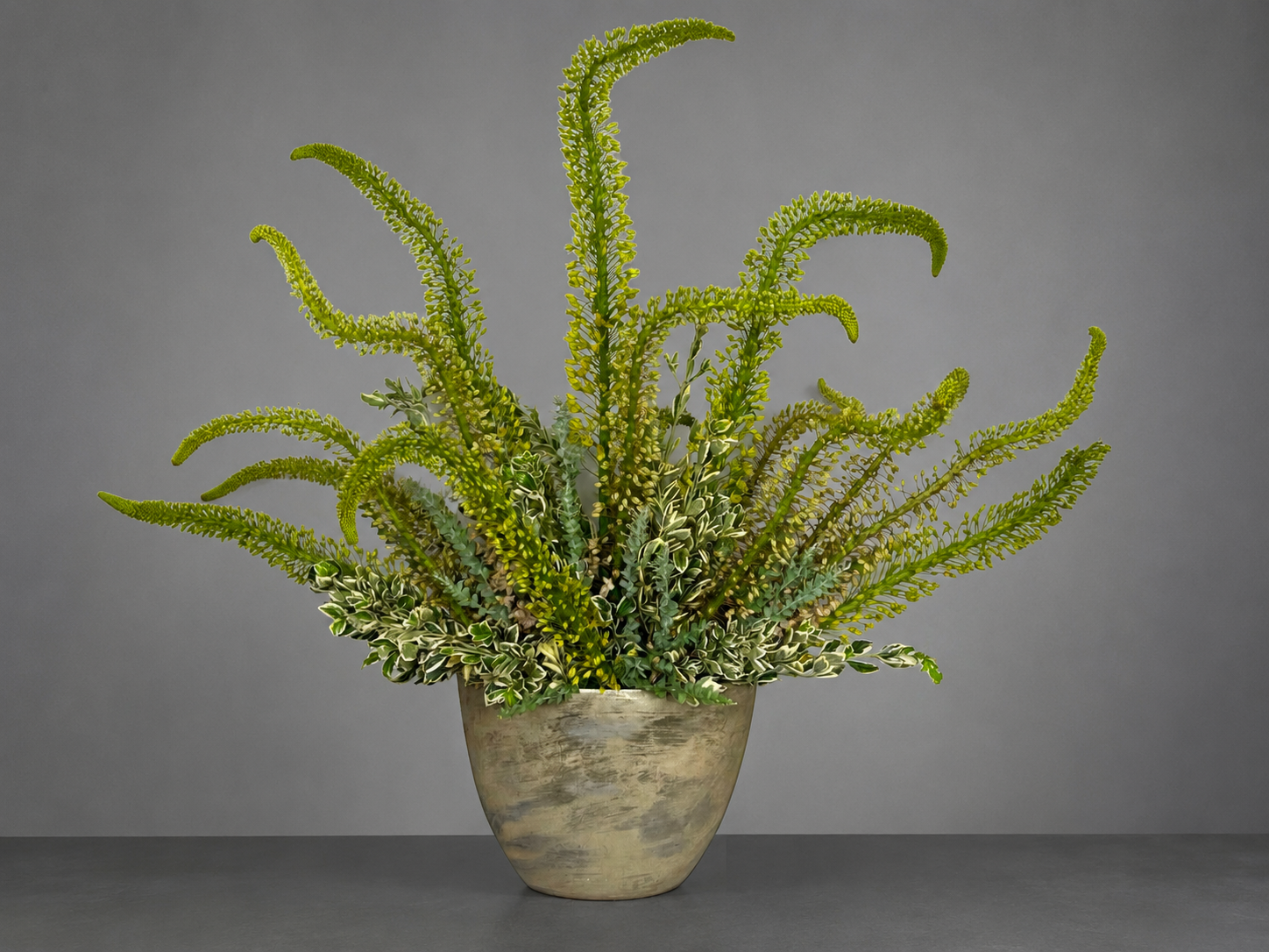 Sculptural green stems and variegated foliage in a rounded gold-toned vessel